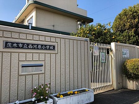 茨木市立三島中学校 ・生徒数約494名 680m
