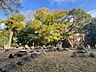 周辺：西河原公園 520m