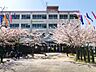 周辺：高槻市立玉川小学校 250m