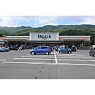 スーパー「デリシア宮川店まで1000ｍ」