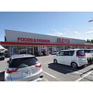 スーパー「オギノ岡谷店まで1255ｍ」