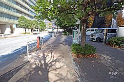 敷地西側の前面道路。二車線のバス通りです。