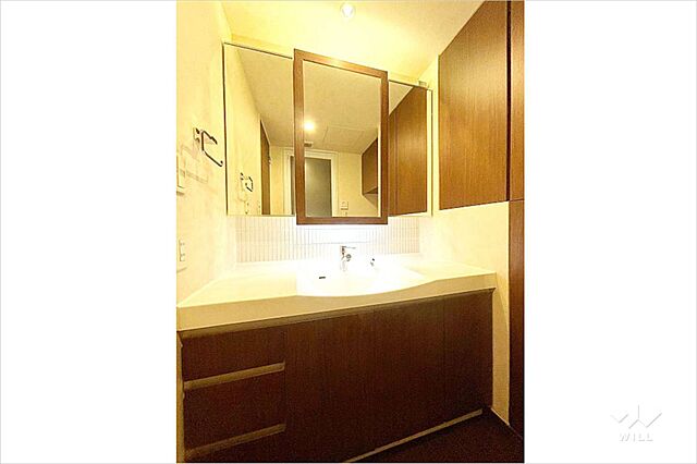 洗面 芝浦アイランドケープタワー 43階/-