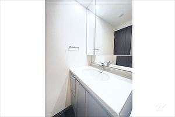 洗面 ザ・タワーズ台場　ウエスト棟 3階/-