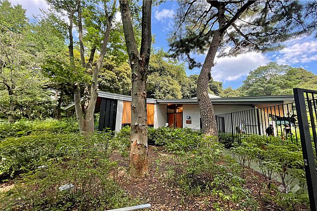 周辺 目黒プラザ 15階/-