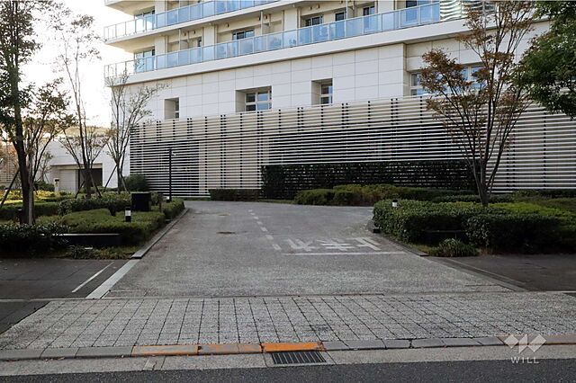 駐車場 ザ・パークハウス晴海タワーズティアロレジデンス 39階/-