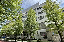 月島第三小学校[公立]の外観