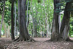 周辺施設の画像