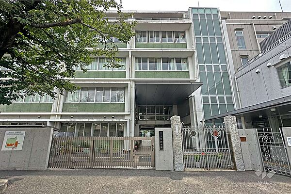 周辺を拡大表示
