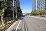 その他：敷地南東側の前面道路(南西側から)