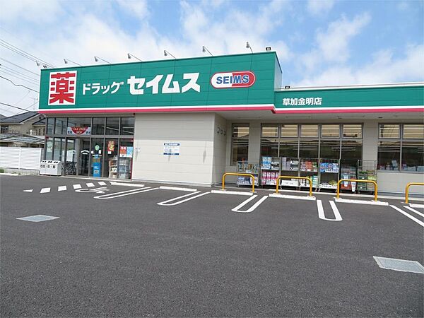 画像19:ドラッグセイムス 草加金明店（706m）