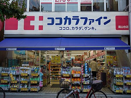 ココカラファイン尾山台店：徒歩4分（278ｍ）