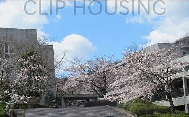周辺 あきる野市雨間