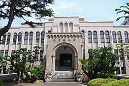 【大学】久留米大学医学部医学科まで1205ｍ