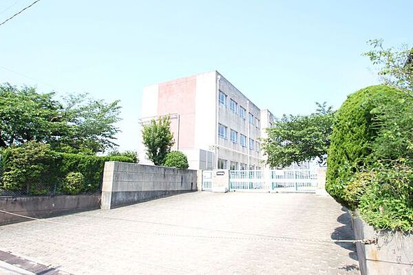 画像17:名古屋市立桜小学校
