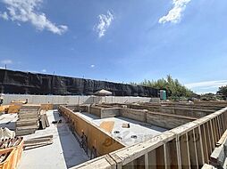 5 / 33