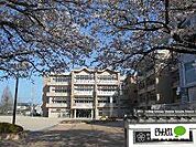 小学校「野洲市立野洲小学校まで1047m」