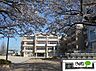 周辺：小学校「野洲市立野洲小学校まで523m」