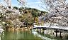 周辺：臥竜公園 1100m