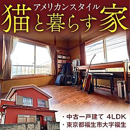 アメリカンな街並みを、愛猫と。　福生市大字福生