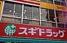 周辺：スギヤマ薬品 本部（220m）