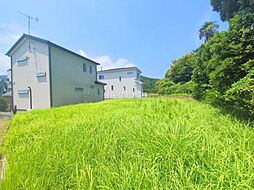 南足柄市雨坪(267) No.7