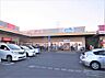 周辺：ウエルシア平塚河内店まで約200m（徒歩3分）