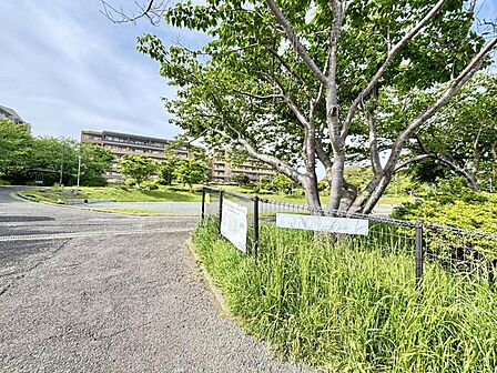 野比松葉公園まで約130m(徒歩2分)
