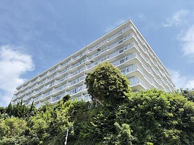 外観:現地写真です。 外観:現地写真です。