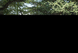 L.E.Hills　Yokoyamacho