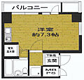 ライオンズマンション川崎第72階5.0万円