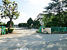 周辺：柏第八小学校（230m）