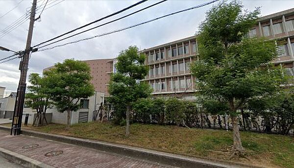 【高校】私立阪南大学高校まで545ｍ