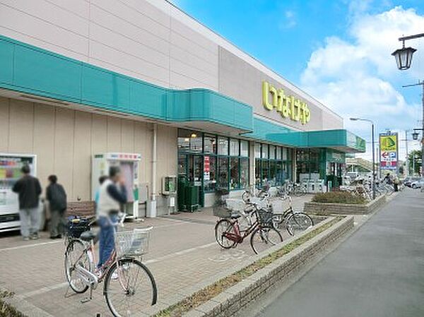 周辺を拡大表示