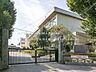周辺：小学校 300m 和光市立白子小学校