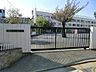 周辺：小学校 900m 中野区立平和の森小学校