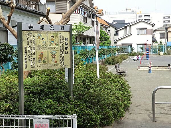 周辺を拡大表示