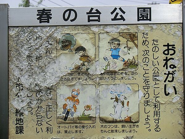 周辺を拡大表示