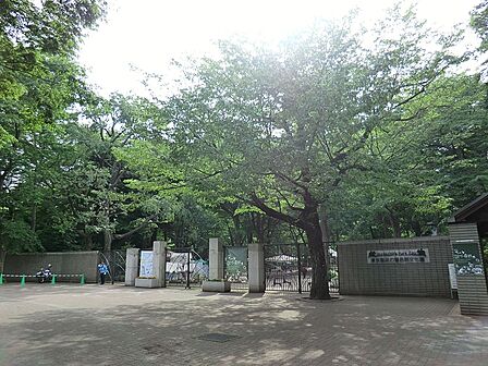 公園 550m 井の頭恩賜公園