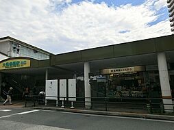練馬区西大泉3丁目　土地　全1区画