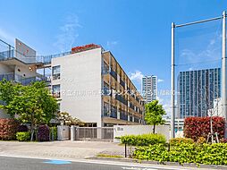中学校 880m 江東区立有明中学校