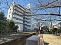 裏公園