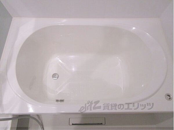 マウントビューいけした