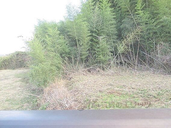 ハイスクエア湖南_その他_7