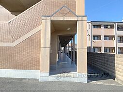 7 / 19