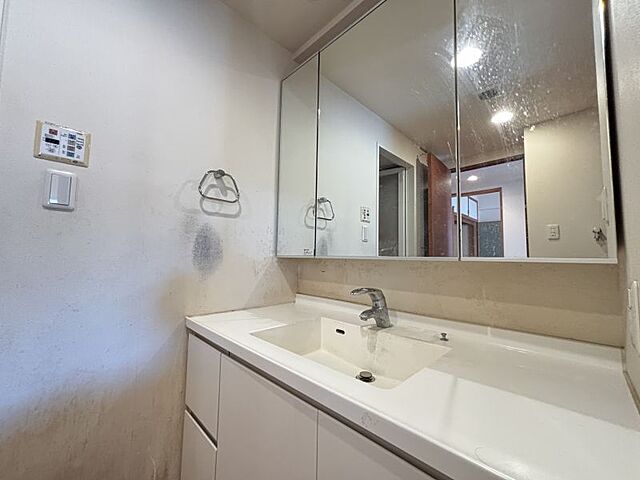 洗面 ドメイン八千代勝田台 2階/-