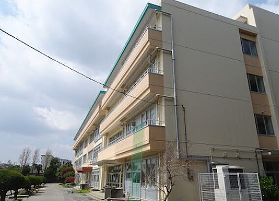 柏市立酒井根西...