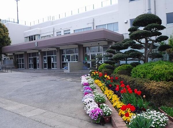 周辺を拡大表示