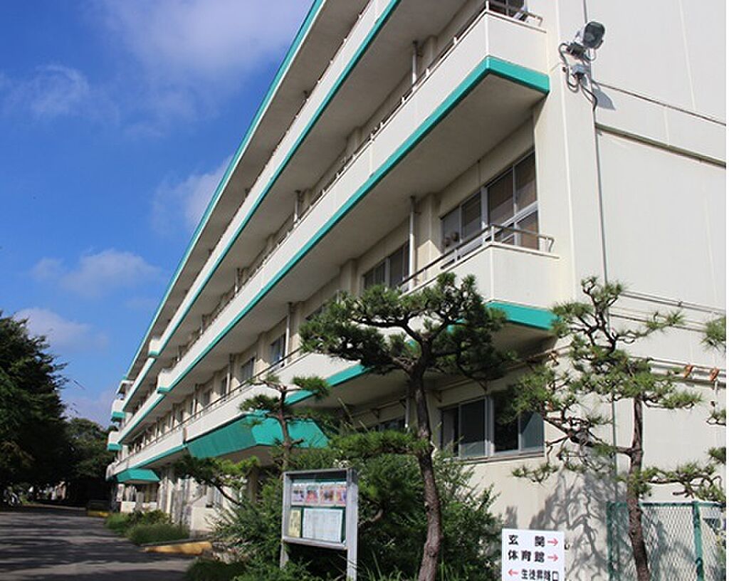 Image 8