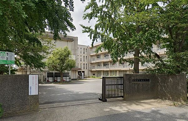 周辺を拡大表示